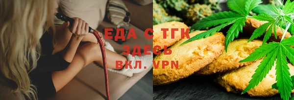 индика Богородицк