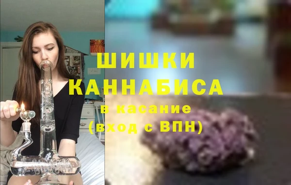 индика Богородицк