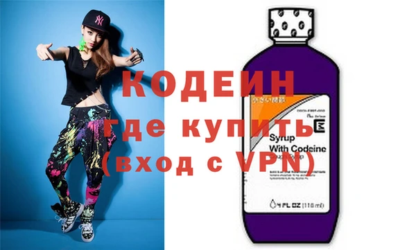 индика Богородицк