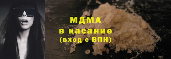 индика Богородицк