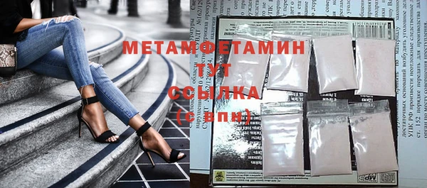 индика Богородицк