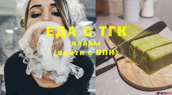 индика Богородицк
