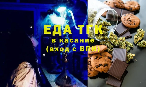 индика Богородицк