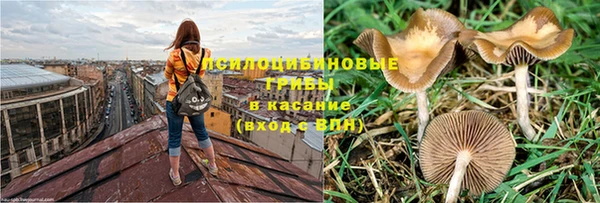 гидропоника Богданович