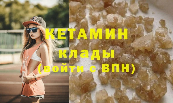 индика Богородицк