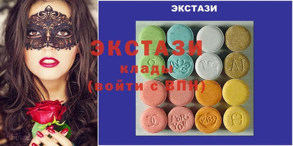 индика Богородицк