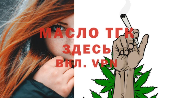 индика Богородицк