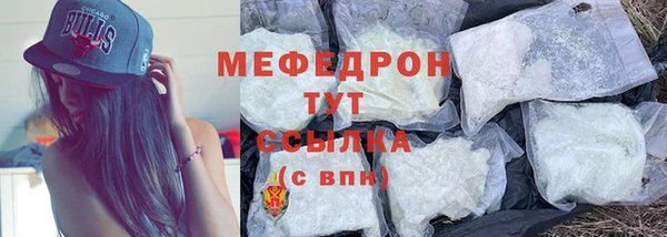 индика Богородицк