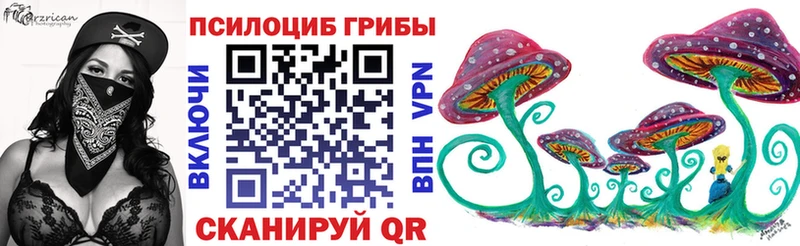 Купить где  Боровичи  Псилоцибиновые грибы Psilocybine cubensis 